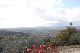 Il Pioppo - Veroli - 3