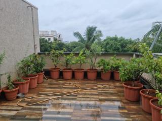 Terrace Garden - 8