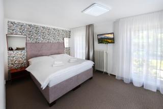 APLEND Hotel Lujza Major - Tatranská Lomnica - 3