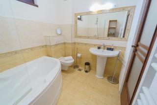 5* mansion in city center - Cluj-Napoca - 7
