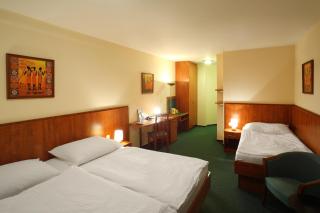 Hotel Palace - Pilsen - 4