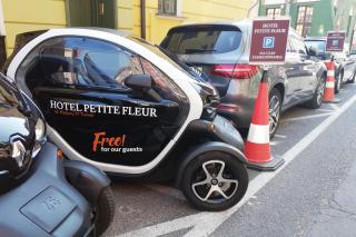 Hotel Petite Fleur - Adults only ! Air-Conditioning ! - Toruń - 7