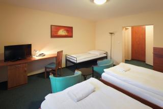 Hotel Palace - Pilsen - 3