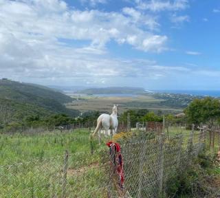 Annie's Song. See it. Hear it. Love it. - 2