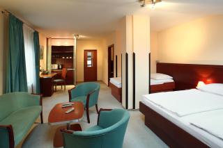 Hotel Palace - Pilsen - 2