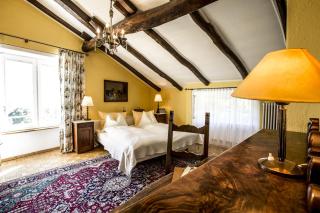 Swiss Historic & Garten Hotel Villa Carona - Carona - 5