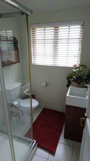 Silver Birch Studio - Howick - 5