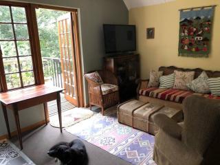 Silver Birch Studio - Howick - 3