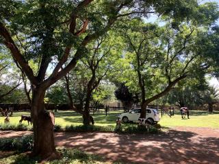 Haizum's Equestrian Centre - 3