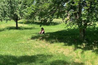 Gîtes du Puyjovent - Côté Forêt - à 15 minutes de Crest, vue panoramique, calme - 3