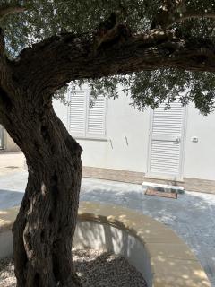 Appartamento - Isola di Mothia - Marsala - 8