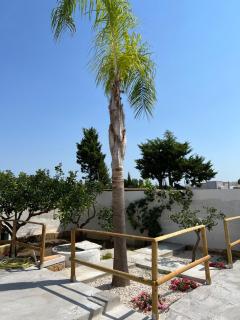 Appartamento - Isola di Mothia - Marsala - 1