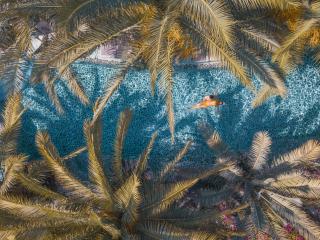 Flamingo Hotel & Spa - Pet Friendly - 9