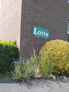 Joy Lotus 105 - De Haan - 5