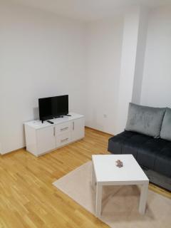 APARTMANI CEPERKOVIC - Vrnjačka Banja - 6