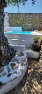 Casa Pitacas - Crato - 5