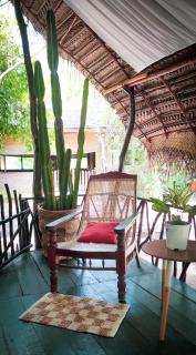 Camp Leopard - Yala Safari Glamping - Yala - 4
