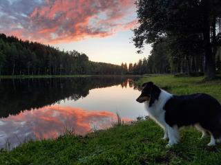 saunamökki Rauhala,LaatuLomat - Juva - 8