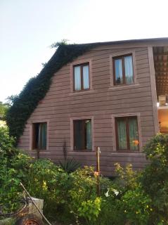 Roin Guest House - Grigoleti - 0