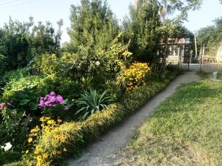 Roin Guest House - Grigoleti - 8