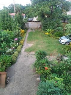 Roin Guest House - Grigoleti - 9