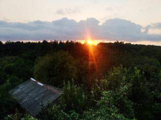 Roin Guest House - Grigoleti - 7