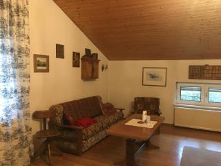 Apartment zum gemütlichen Karl - Gmunden - 1