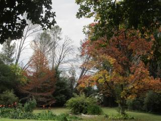 Hillside Farm - Trompsburg - 8