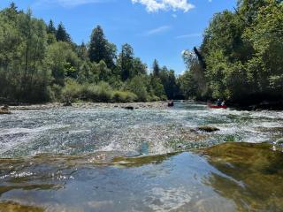Pia's Nature Retreat - Neukirch - 8
