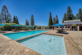 Greens At Waikoloa L101 - 7