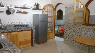 Araucaria - Essaouira - 5