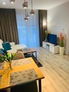 Apartament Champion - Gorzów Wielkopolski - 9