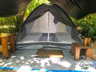 Guarumbo - Bacalar - 6