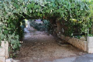 Apartments by the sea Mudri Dolac, Hvar - 4042 - Vrbanj - 2
