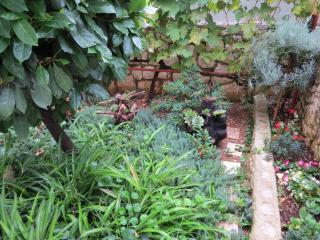 Apartments with parking space Mastrinka, Ciovo - 2050 - 4