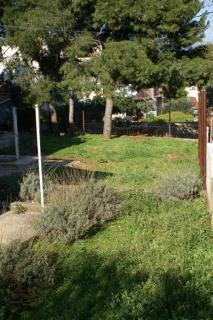 Apartments with parking spaces Slatine, Ciovo - 1099 - Slatine - 2