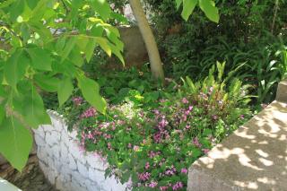 Apartments with a parking space Hvar - 4004 - 3