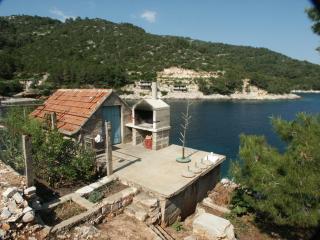 Seaside secluded apartments Cove Srhov Dolac, Hvar - 2072 - 4