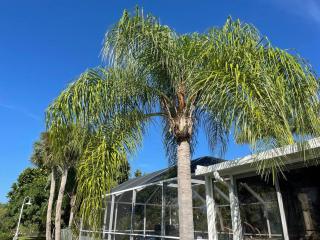 Heated Pool Paradise, Gulf Access, Pet Friendly - 2