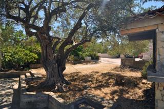 Apartments by the sea Stupin Celine, Rogoznica - 2096 - Rogoznica - 1