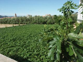 Apartments by the sea Seget Donji, Trogir - 2041 - 4