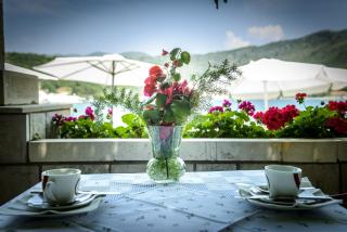 Apartments and rooms by the sea Zaton Veliki, Dubrovnik - 2110 - 2