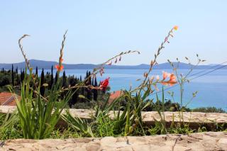 Apartments by the sea Sladjenovici, Dubrovnik - 2162 - Slano - 4