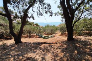 Family friendly seaside apartments Cove Torac, Hvar - 2071 - Gdinj - 4
