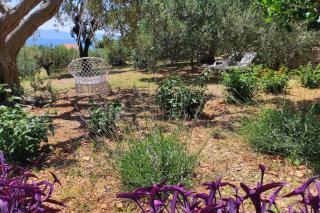 Family friendly seaside apartments Cove Torac, Hvar - 2071 - Gdinj - 2