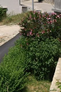 Apartments with parking space Metajna, Pag - 4127 - 4