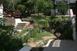 Apartment Stara Novalja 4144a - Novalja - 4