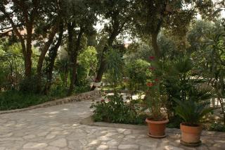 Apartments with parking spaces Mandre, Pag - 4075 - Mandre - 3