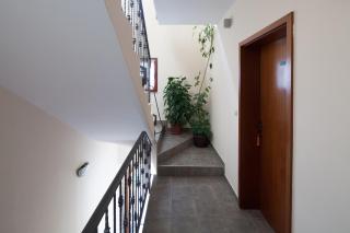 Apartments by the sea Bilo, Primosten - 4191 - Primošten - 3