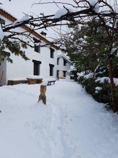 Casas rurales Camaretas - Yeste - 9